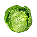 Cabage